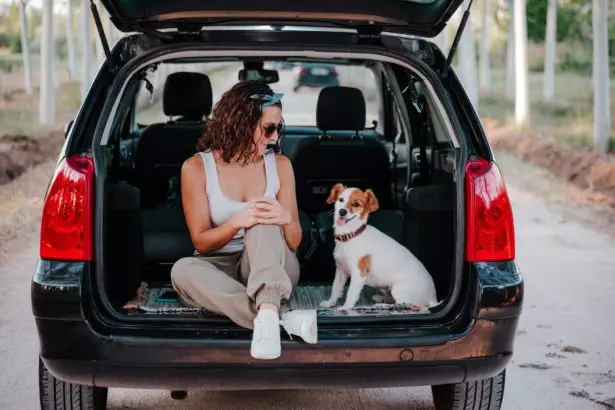 happy woman and dog relaxing on car trunk at forest footpath. Nature and travel with pets
