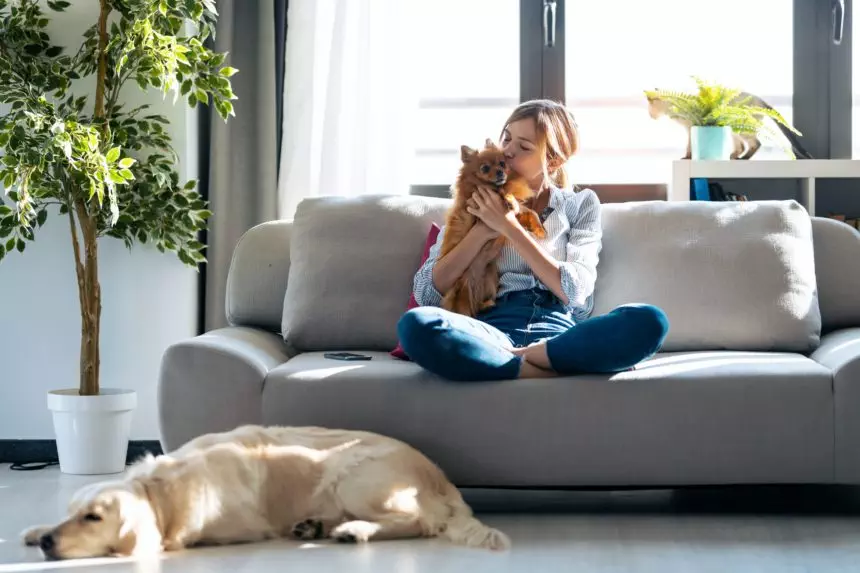 Attractive woman kissing her little cute dog while sitting in couch with her dogs and cat at home.