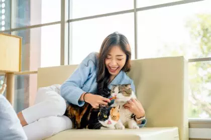 Side view pretty Asian woman give cat food in plastic package to her cat and stay with other cat